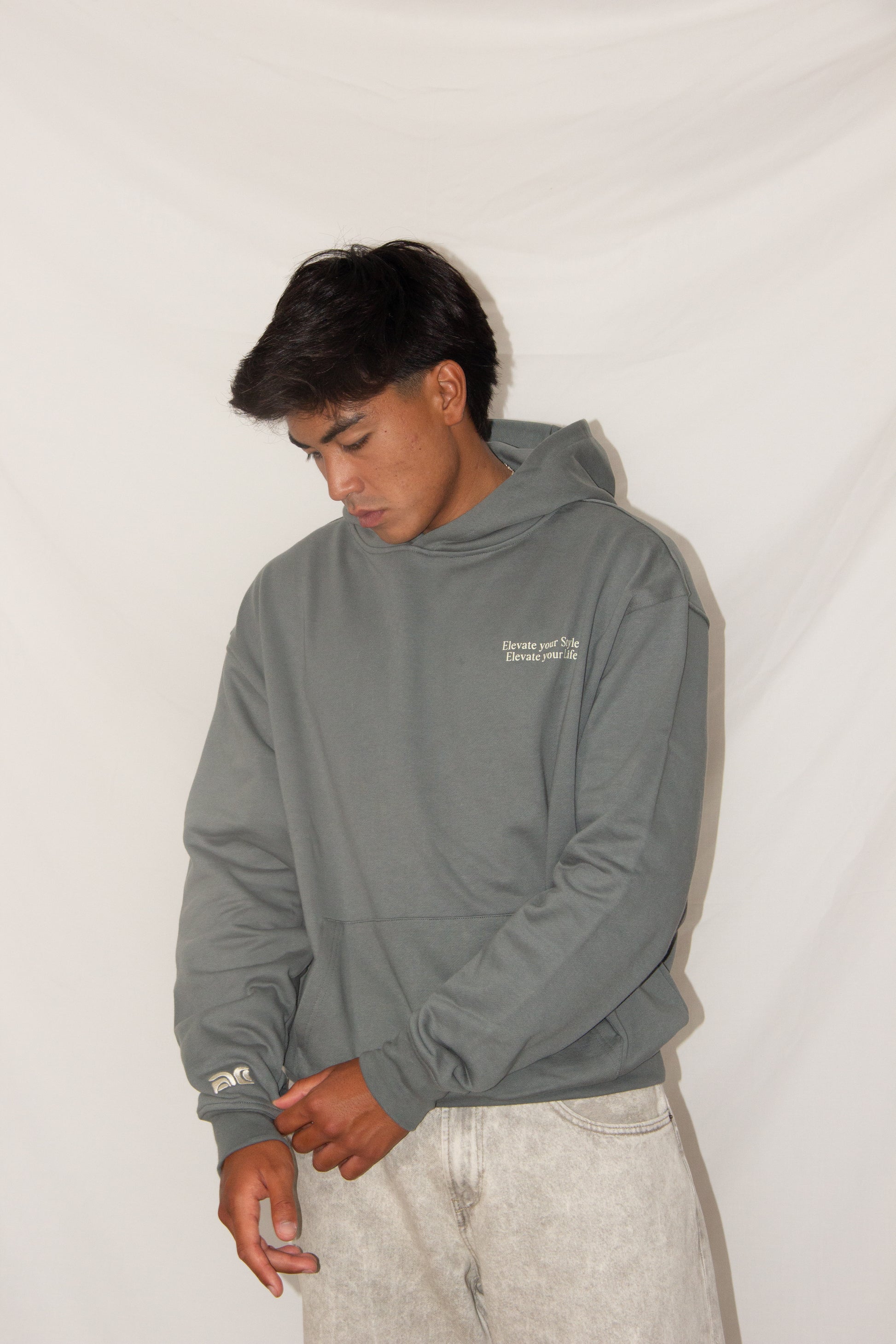 DASS CONCEPT HOODIE GREY