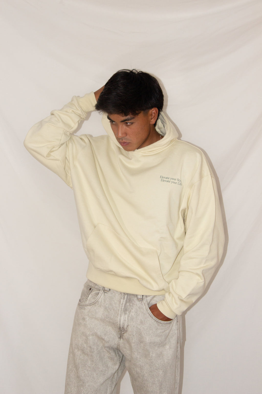 DASS CONCEPT HOODIE BEIGE