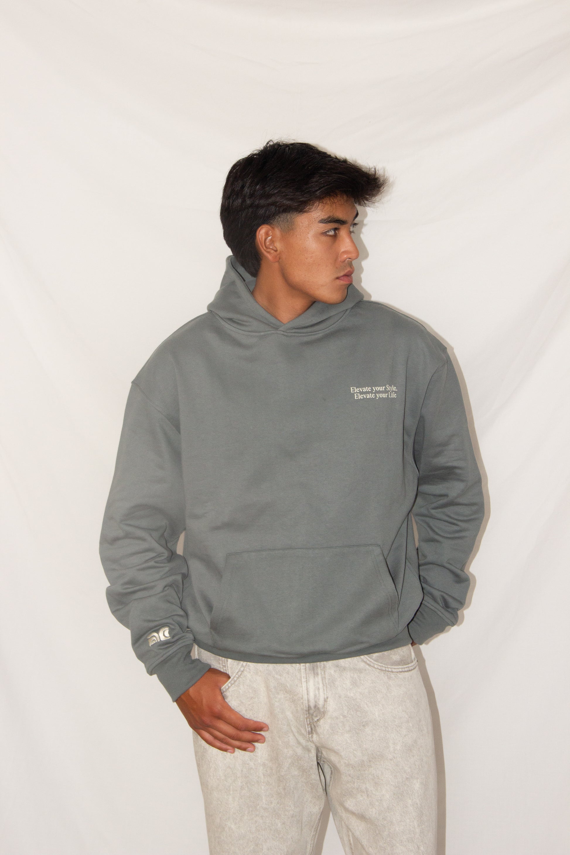 DASS CONCEPT HOODIE GREY